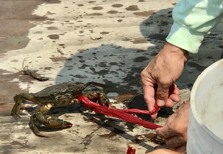 學習多杰羌佛第三世佛法 學習多杰羌佛第三世佛法